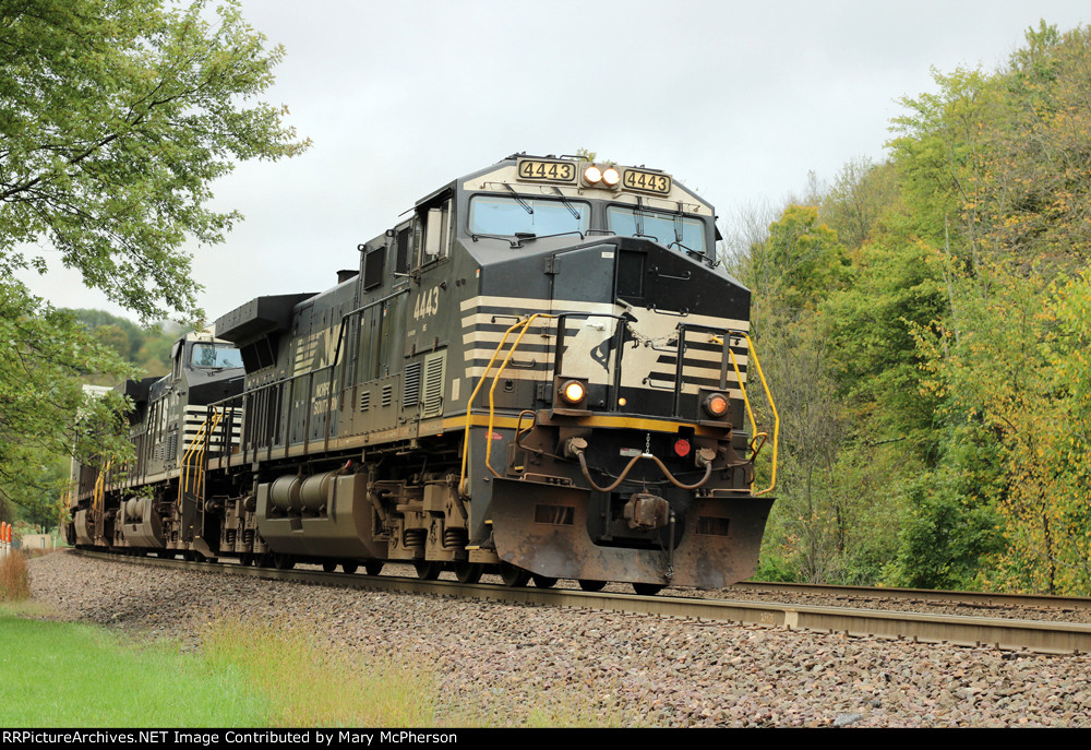 NS 4433 East